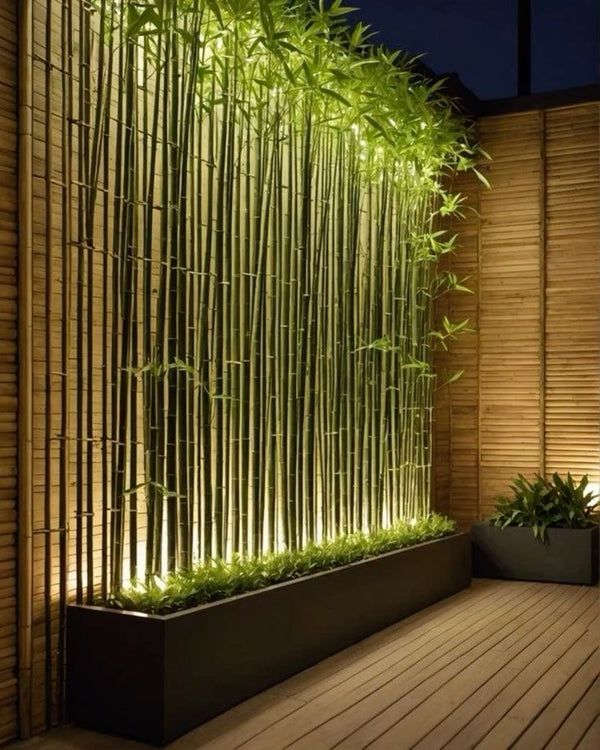 bamboo